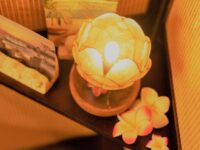 harilibur(ハリリブール) harilibur(ハリリブール)