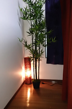 room2