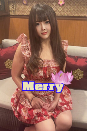 Merry(メリー)