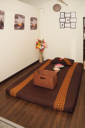 insalon05