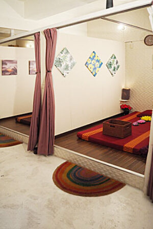 insalon06