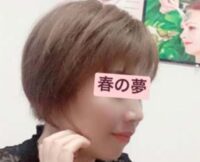 春の夢