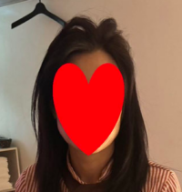 秋桜（Fall cherry tree）