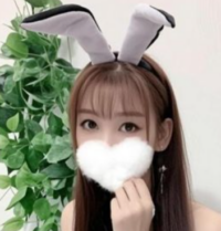 猫の誘惑