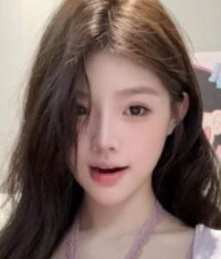 パイドリーミン