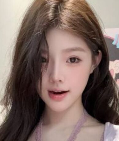 パイドリーミン