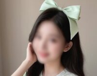 桜（さくら）京都