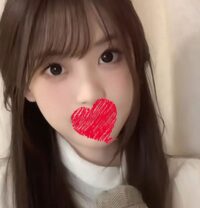 可愛い猫（かわいいねこ）