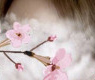Sakura Relux