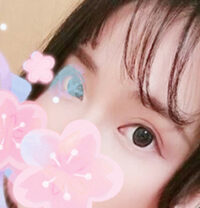Freesia（フリージア）