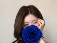 BLUE ROSE