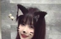 可愛い猫