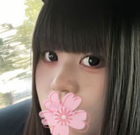 彼の秘密基地